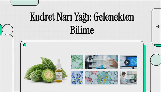 ATC Vital Natürel Kudret Narı Yağı