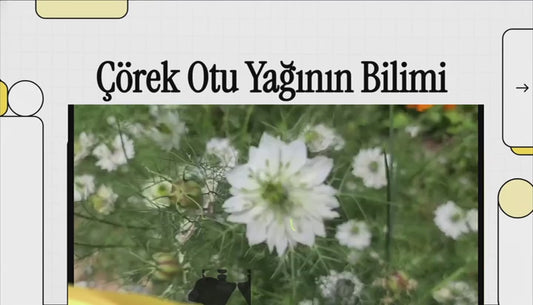 ATC Vital Natürel Çörek Otu Yağı