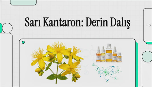 ATC Vital Natürel Sarı Kantaron Yağı