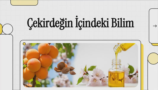 ATC Vital Natürel Kayısı Çekirdeği Yağı